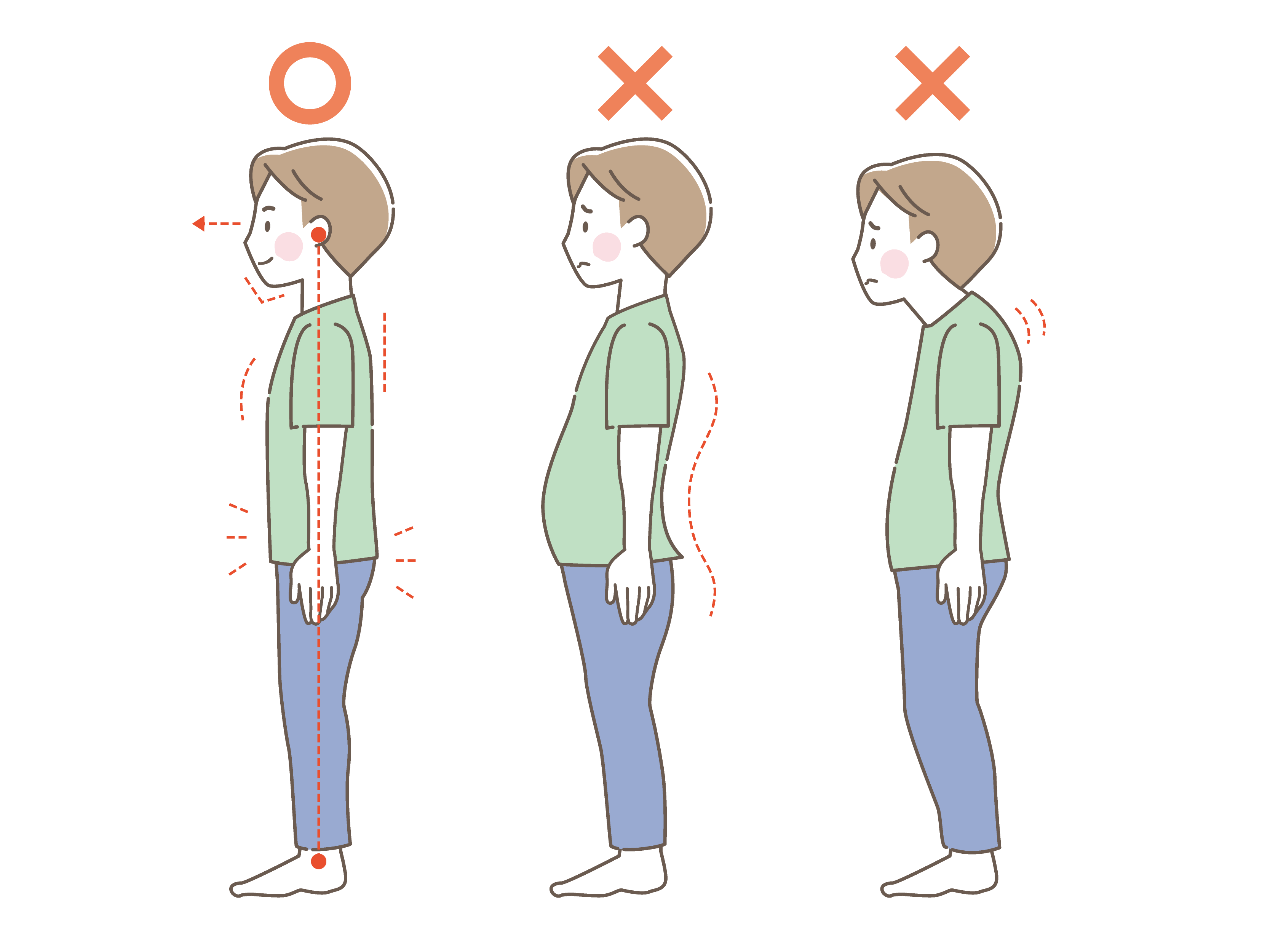 貴重オブジェ！カイロプラクティック！　整体！整骨！オステ！腰椎！矯正！貴重！ 貴重オブジェ！カイロプラクティック！ 整体！整骨！オステ