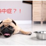 熱中症